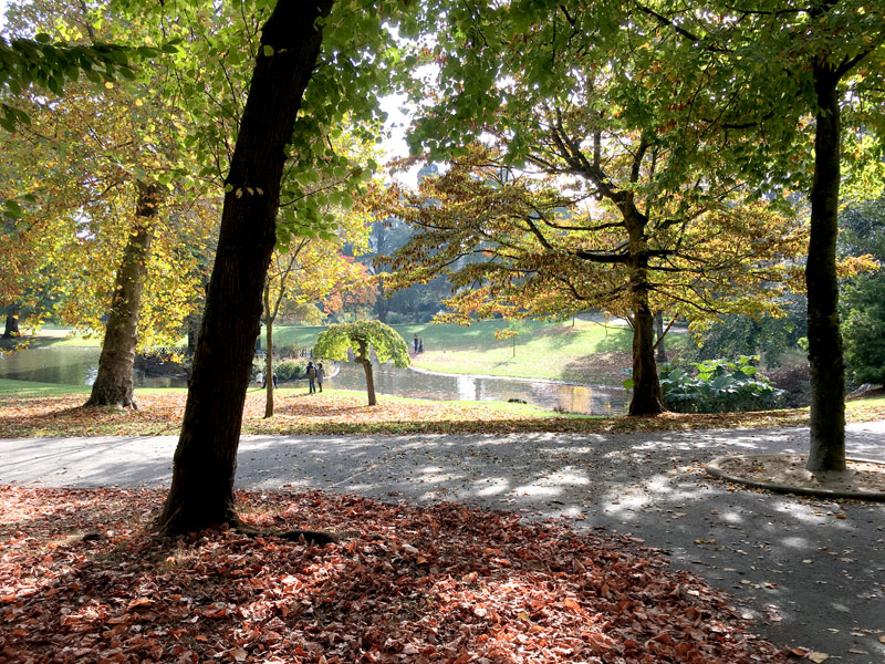 Le Parc de Procé à Nantes en automne