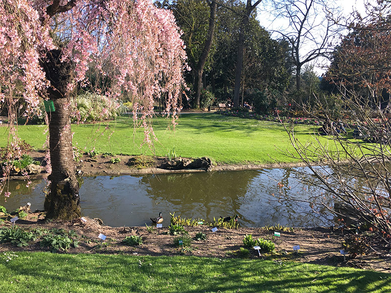 Balade au jardin des plantes à Nantes