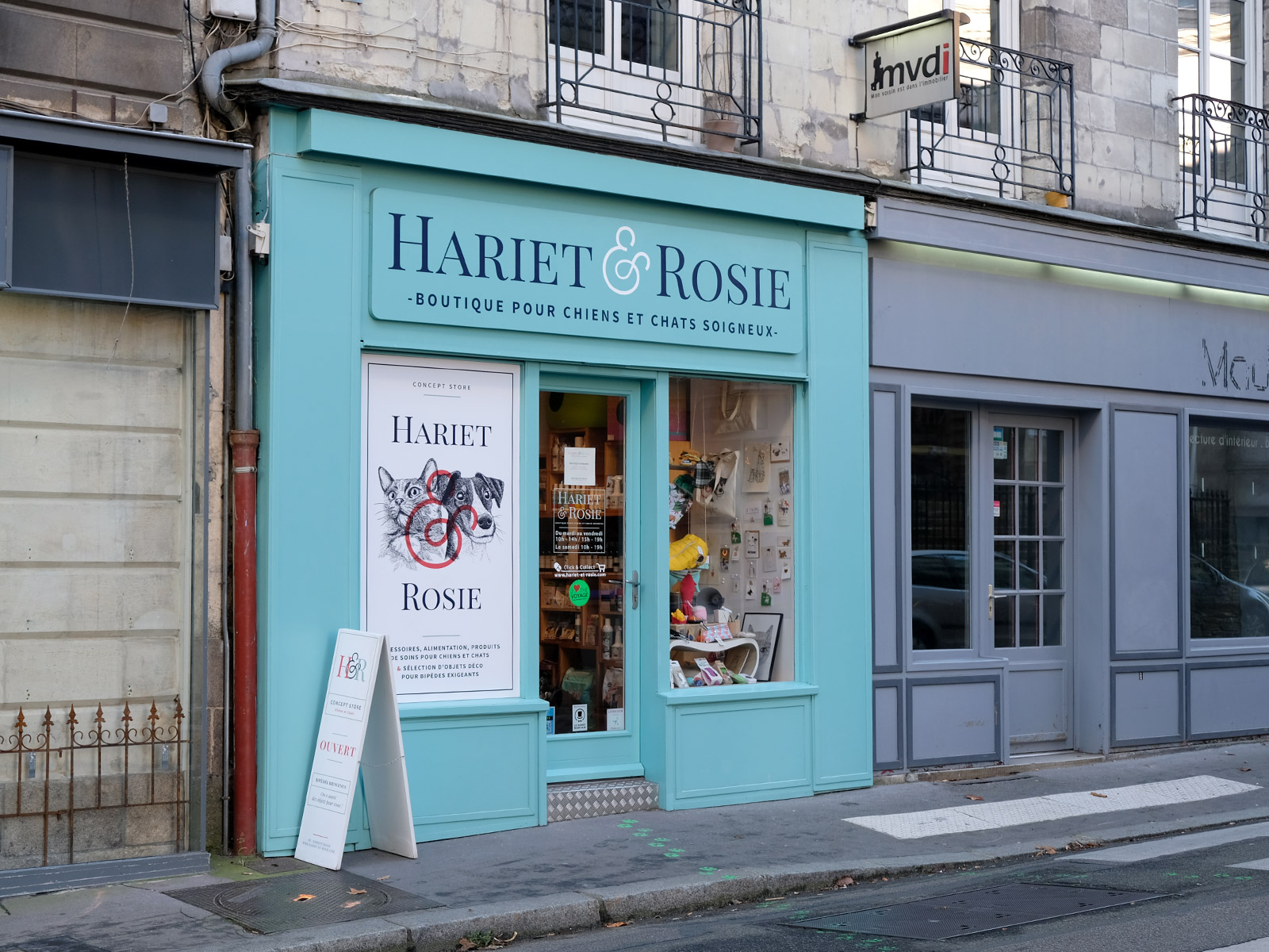 Hariet et Rosie, concept store nantais pour chiens et chats