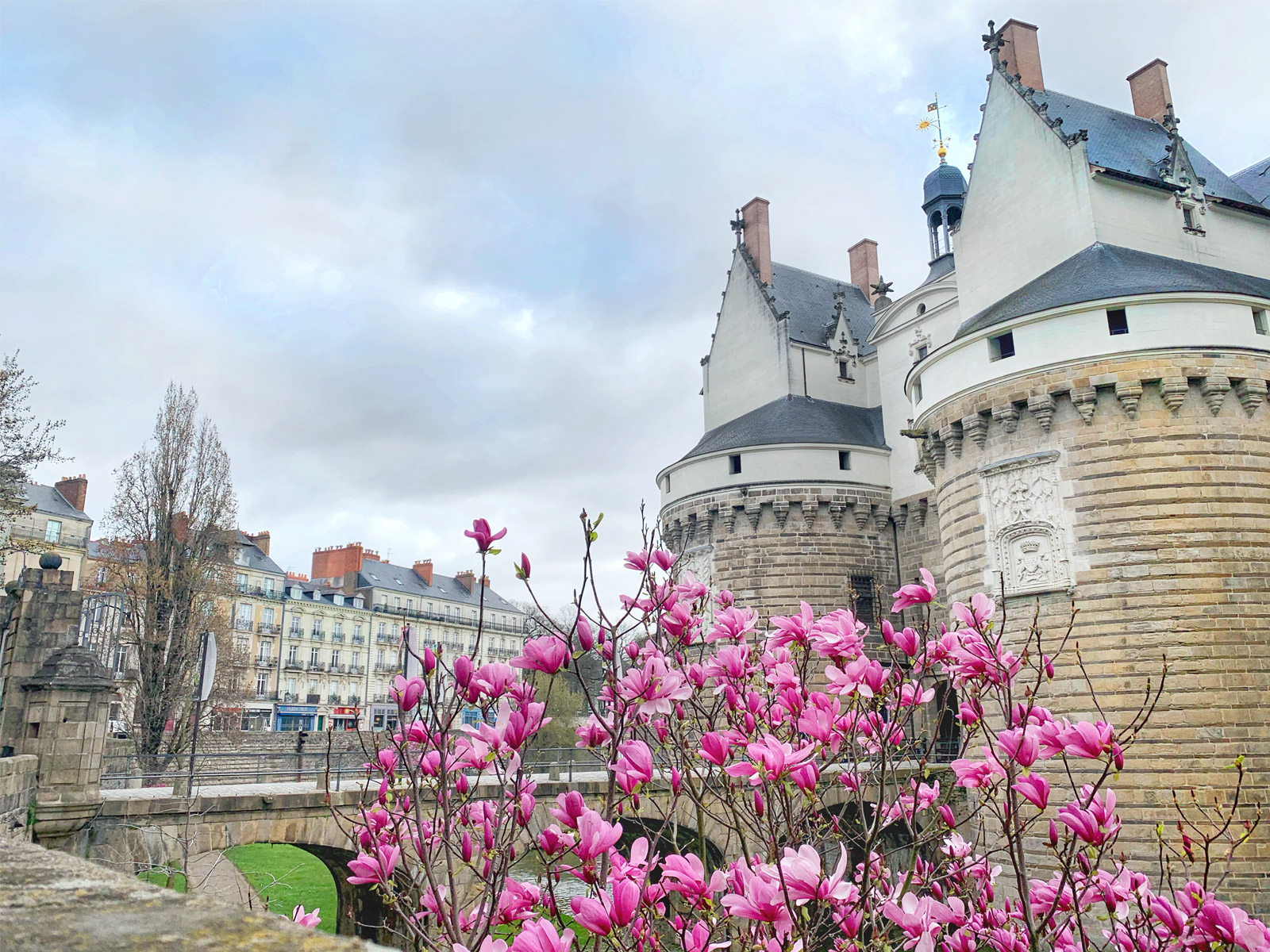 Les arbres en fleur devant le Château des Ducs de Bretagne au printemps à Nantes