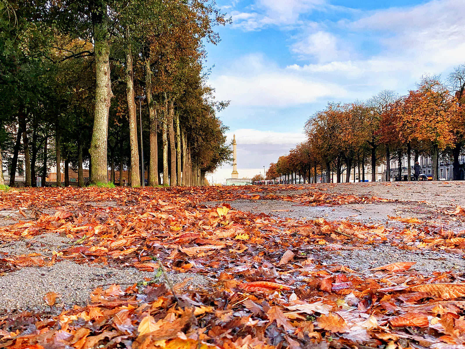 Place Foch et cours St André à Nantes en automne