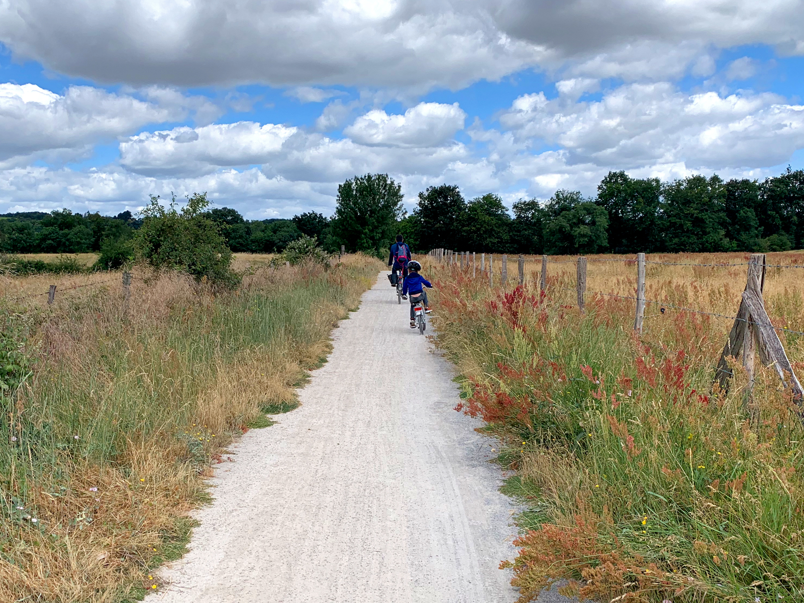 Faire du vélo en Anjou